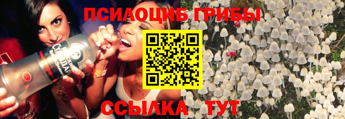 Тобольск  Галлюциногенные грибы Magic Shrooms  Вход с VPN 